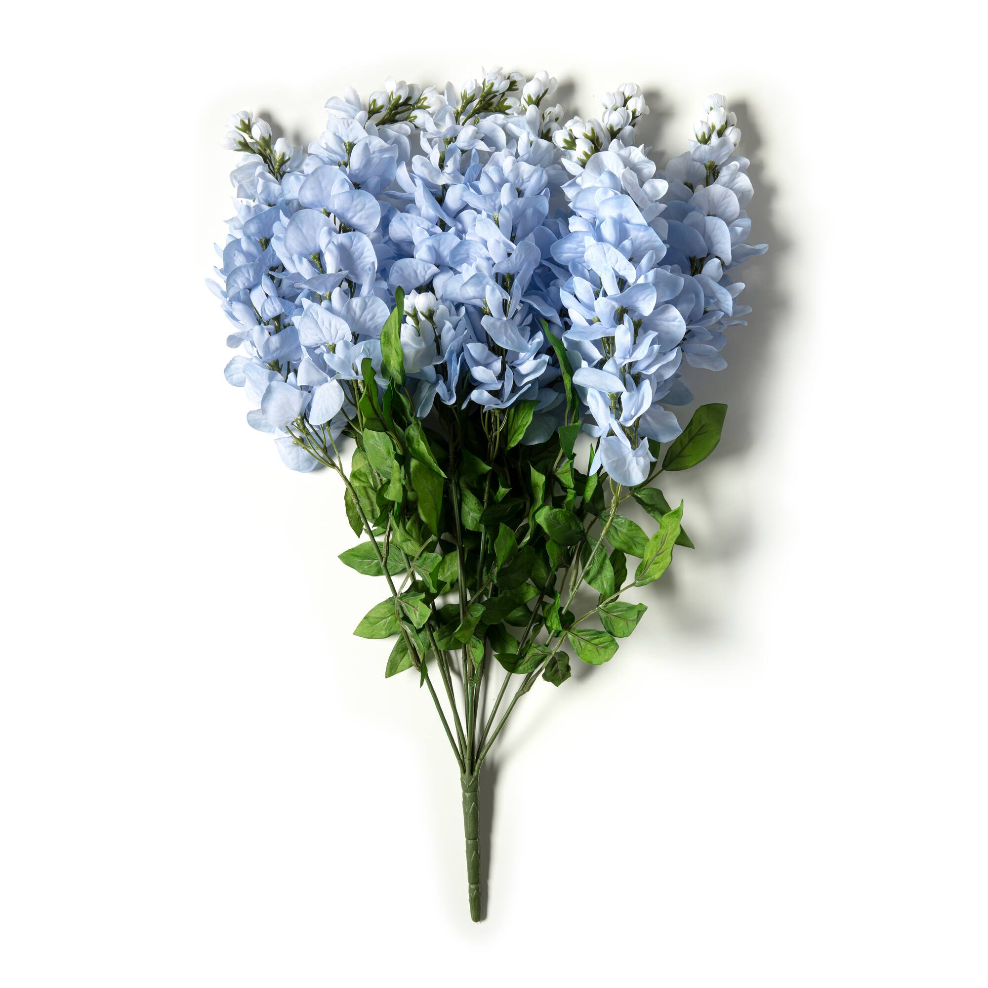 15 Pack: Blue Wisteria Bush by Ashland®